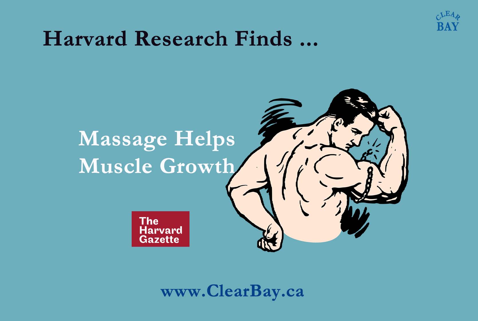 Massage Helps Muscle Growth